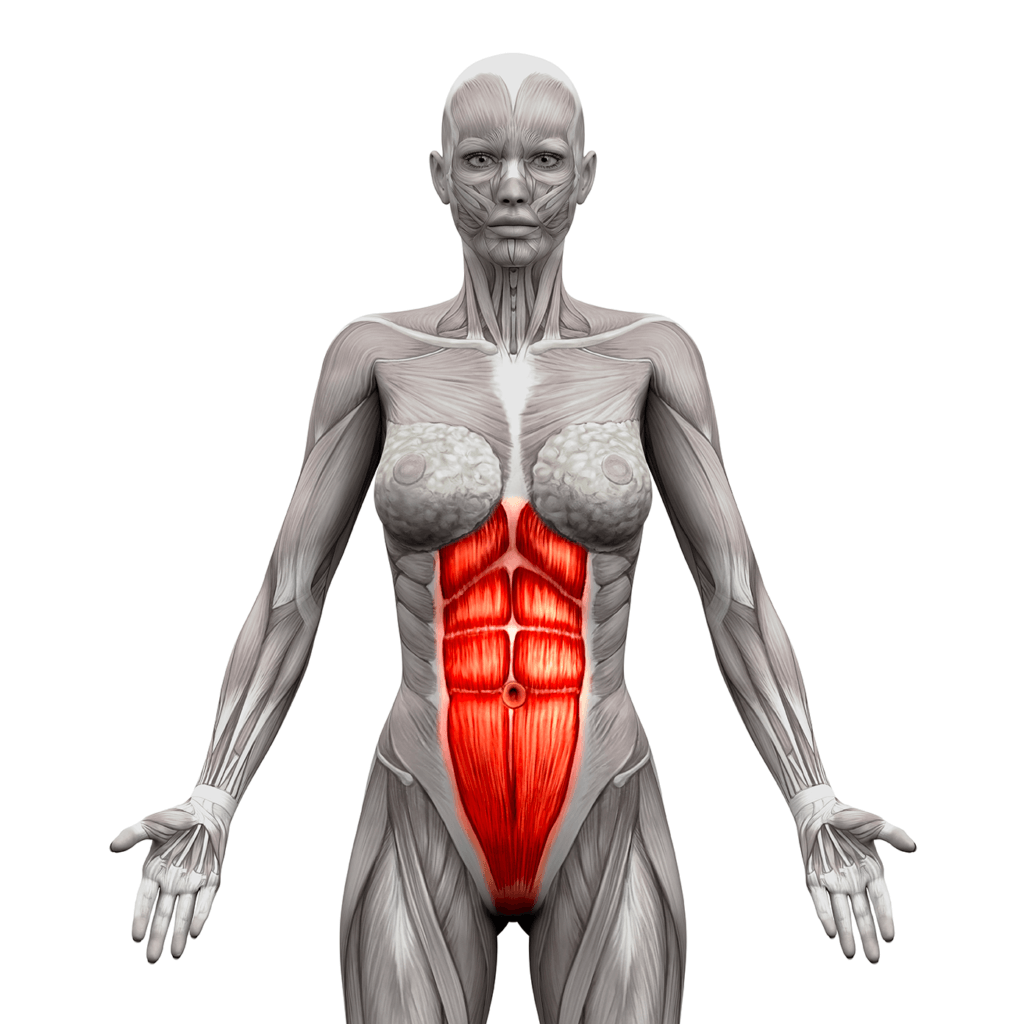 Abdominaux-bien-être-posture