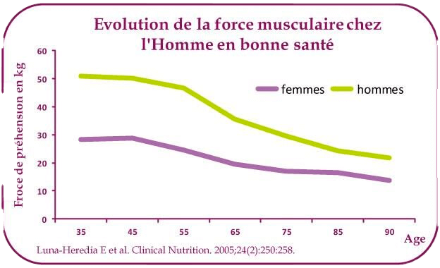 evolution-musculaire-senior